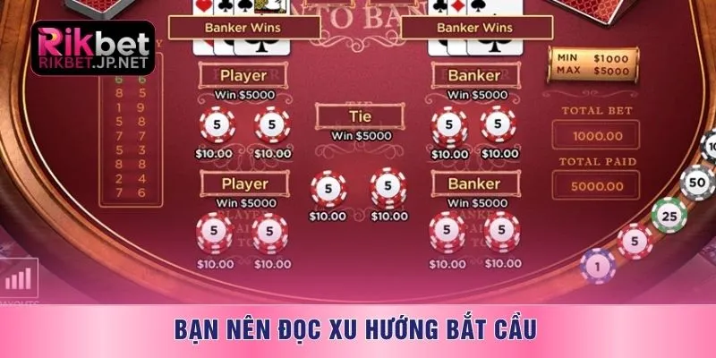 Bạn nên đọc xu hướng bắt cầu