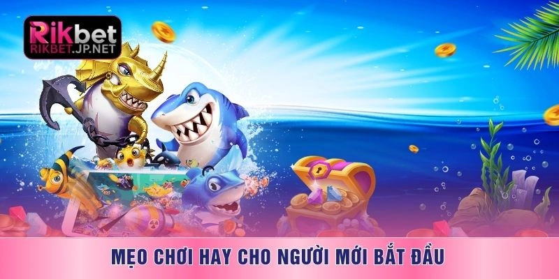 Mẹo chơi hay cho người mới bắt đầu