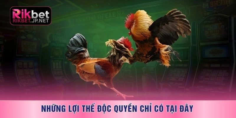 Những lợi thế độc quyền chỉ có tại đây