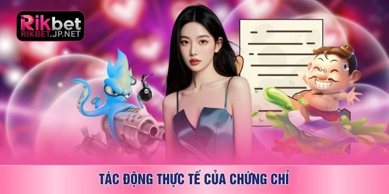 Tác động thực tế của chứng chỉ